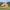 BaseCamp Safari Tent – Heavy-Duty Canvas Wall Shelter
